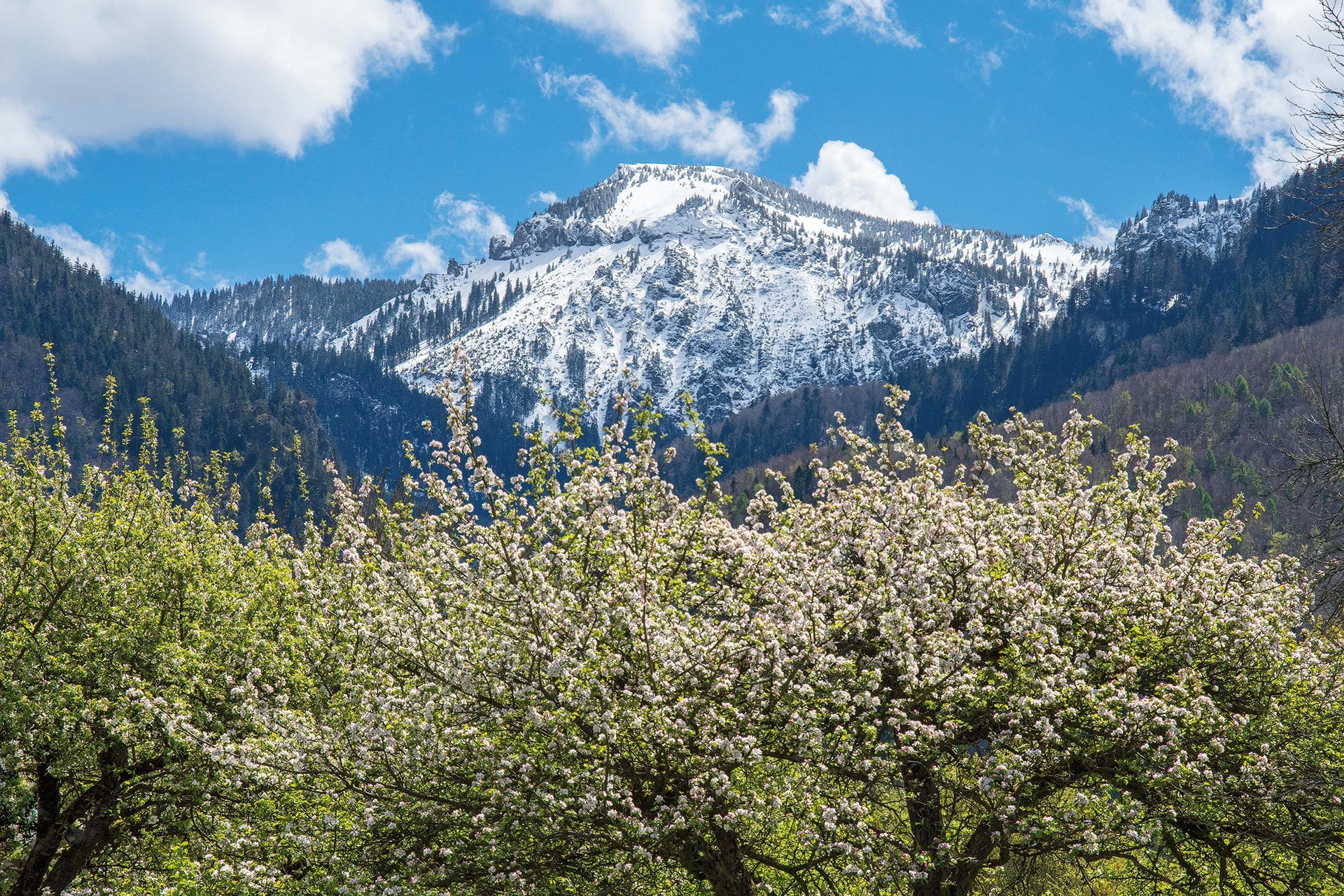 hochgern-1